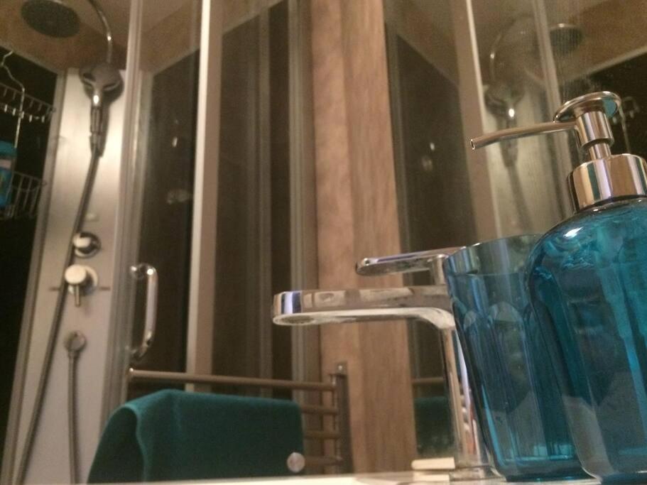 טולוז Appartement Centre Ville Rose מראה חיצוני תמונה