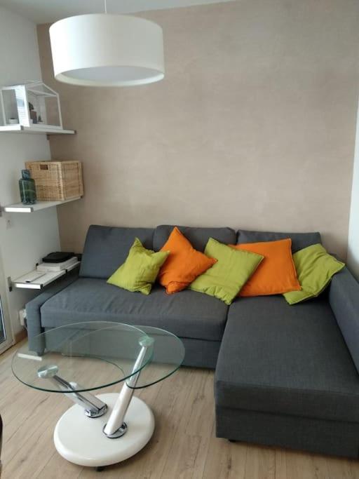 טולוז Appartement Centre Ville Rose מראה חיצוני תמונה