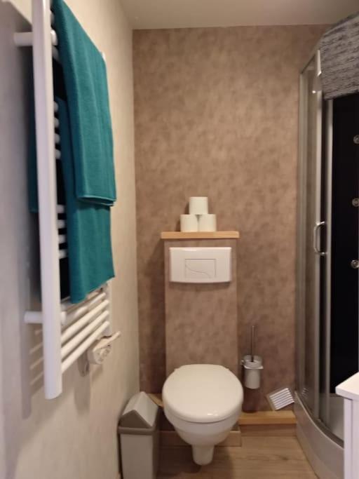טולוז Appartement Centre Ville Rose מראה חיצוני תמונה